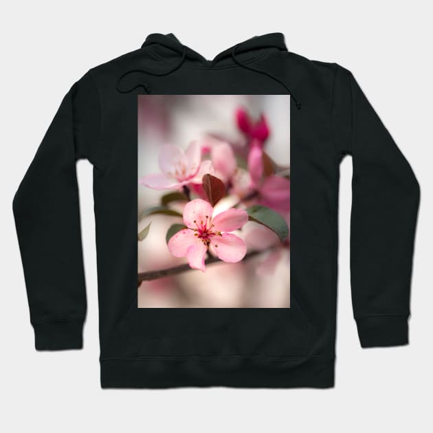 Cherry Blossom Hoodie by EviRadauscher